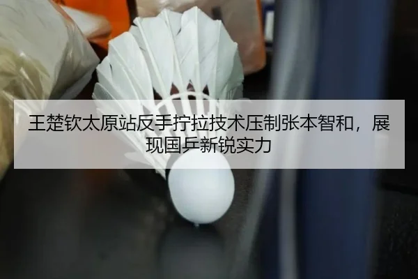 wang-chu-qin-tai-yuan-zhan-fan-shou-ning-la-ji-shu-ya-zhi-zhang-ben-zhi-he-zhan-xian-guo-ping-xin-rui-shi-li-3-117.jpg