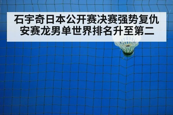badminton net play