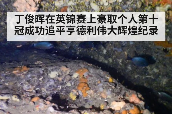 丁俊晖在英锦赛上豪取个人第十冠成功追平亨德利伟大辉煌纪录